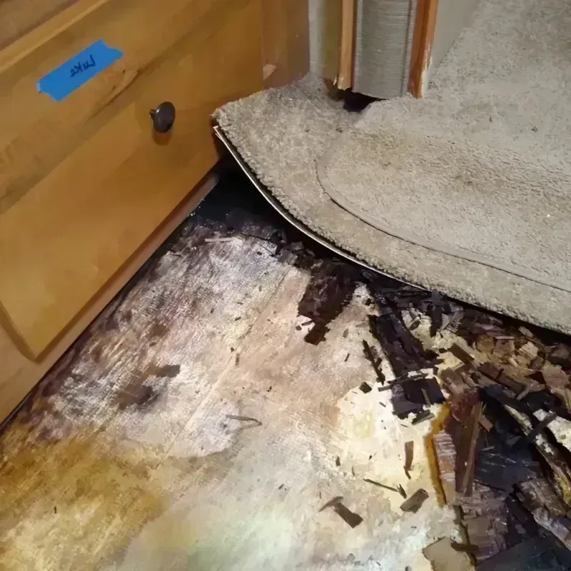 Wood Floor Water Damage in Richfield, MN